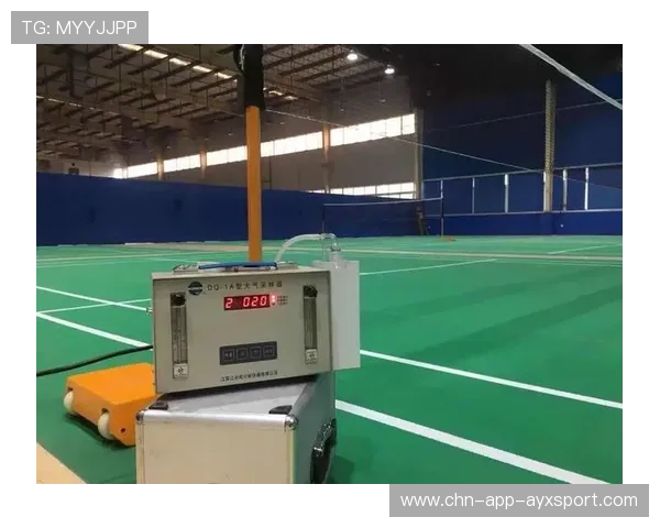 羽毛球训练数据分析平台的搭建与应用案例