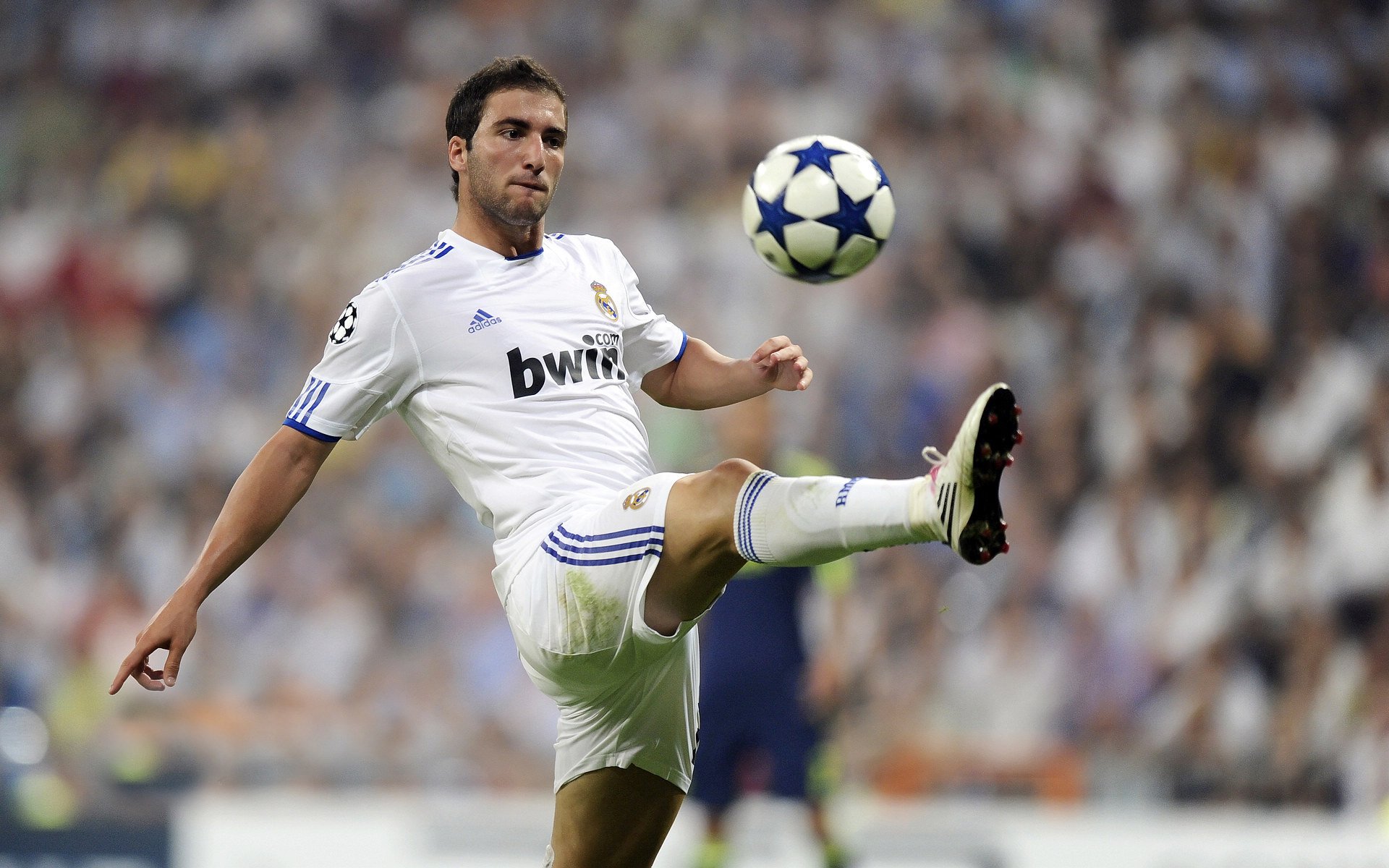 “未来之星:全国青少年足球冠军争霸赛圆满闭幕”,世界足球未来之星